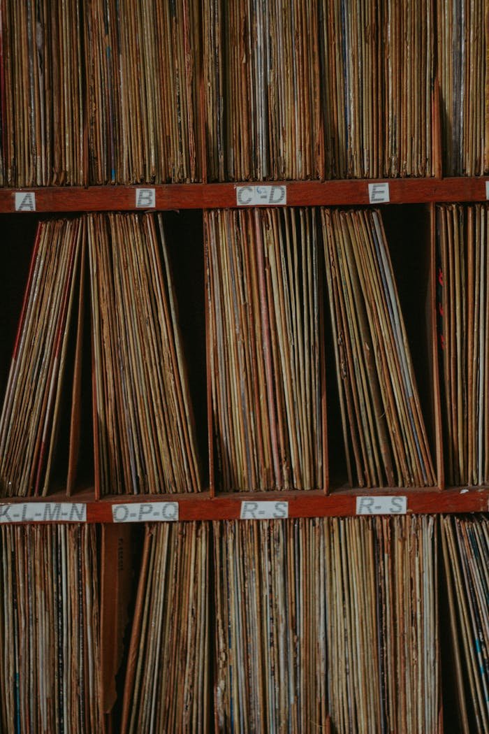 Mastering the First Impression: Your intriguing post title goes here Well-organized vintage record collection on wooden shelves with visible labels, perfect for archiving and music lovers.